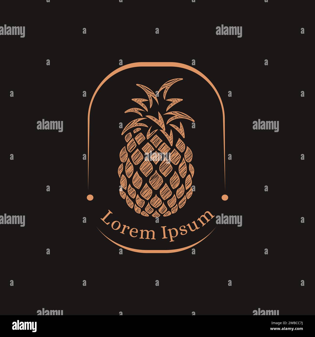 Vintage label pineapple logo vector Stock Vector Image & Art - Alamy