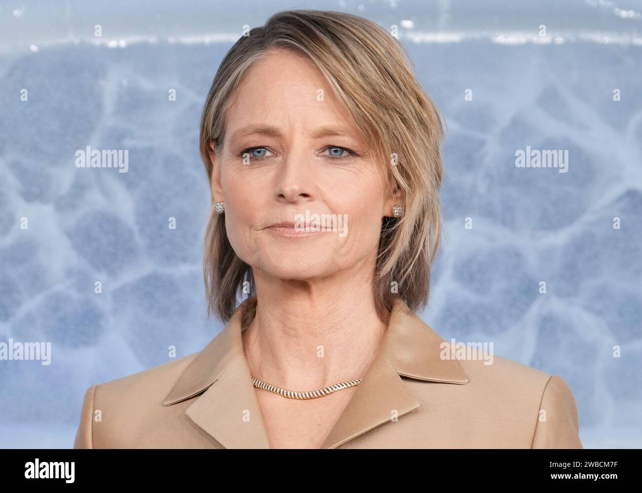 Los Angeles, USA. 09th Nov, 2024. Jodie Foster arrives at the HBO