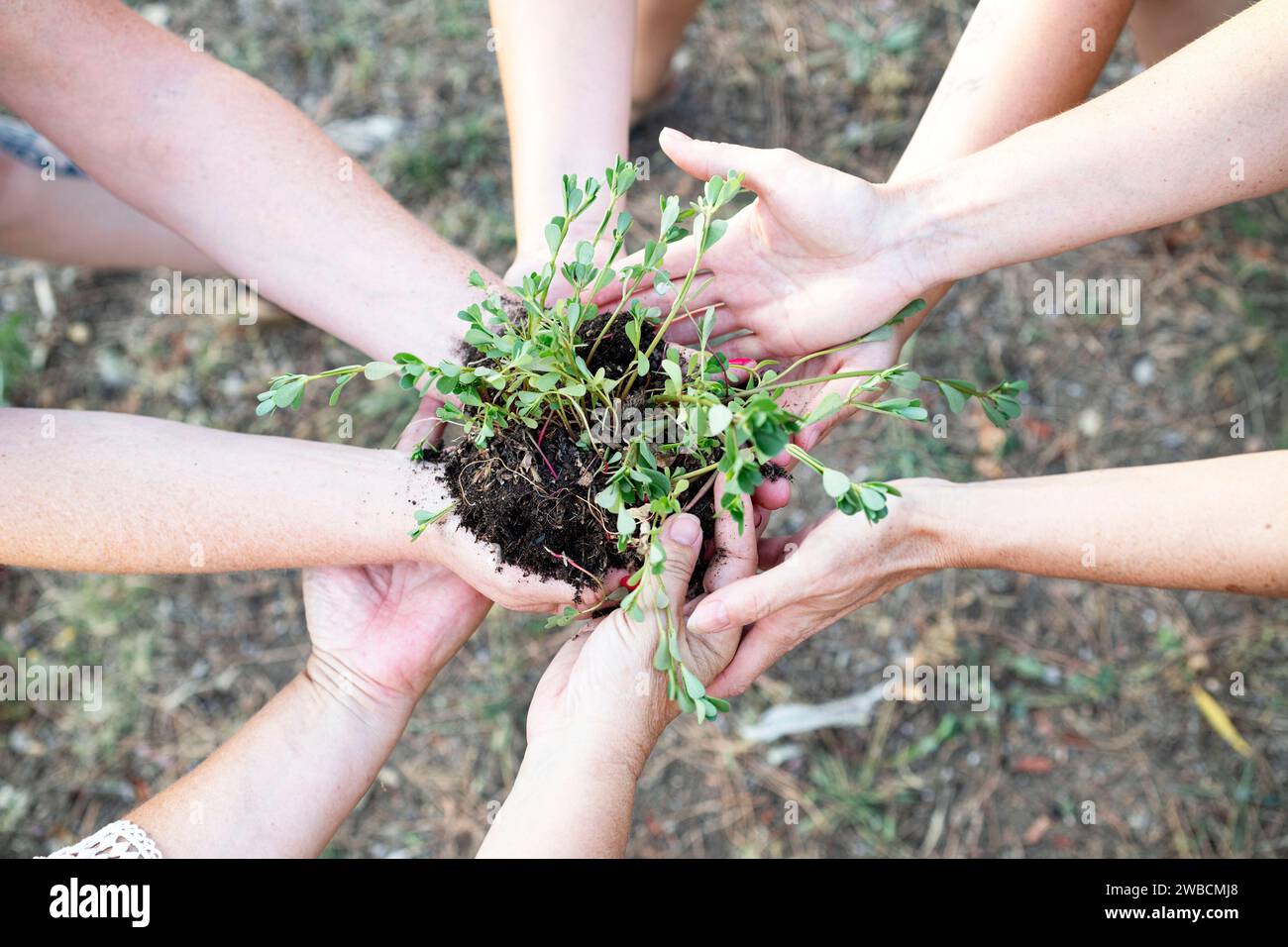 group of people joining hands in the nature Stock Photo