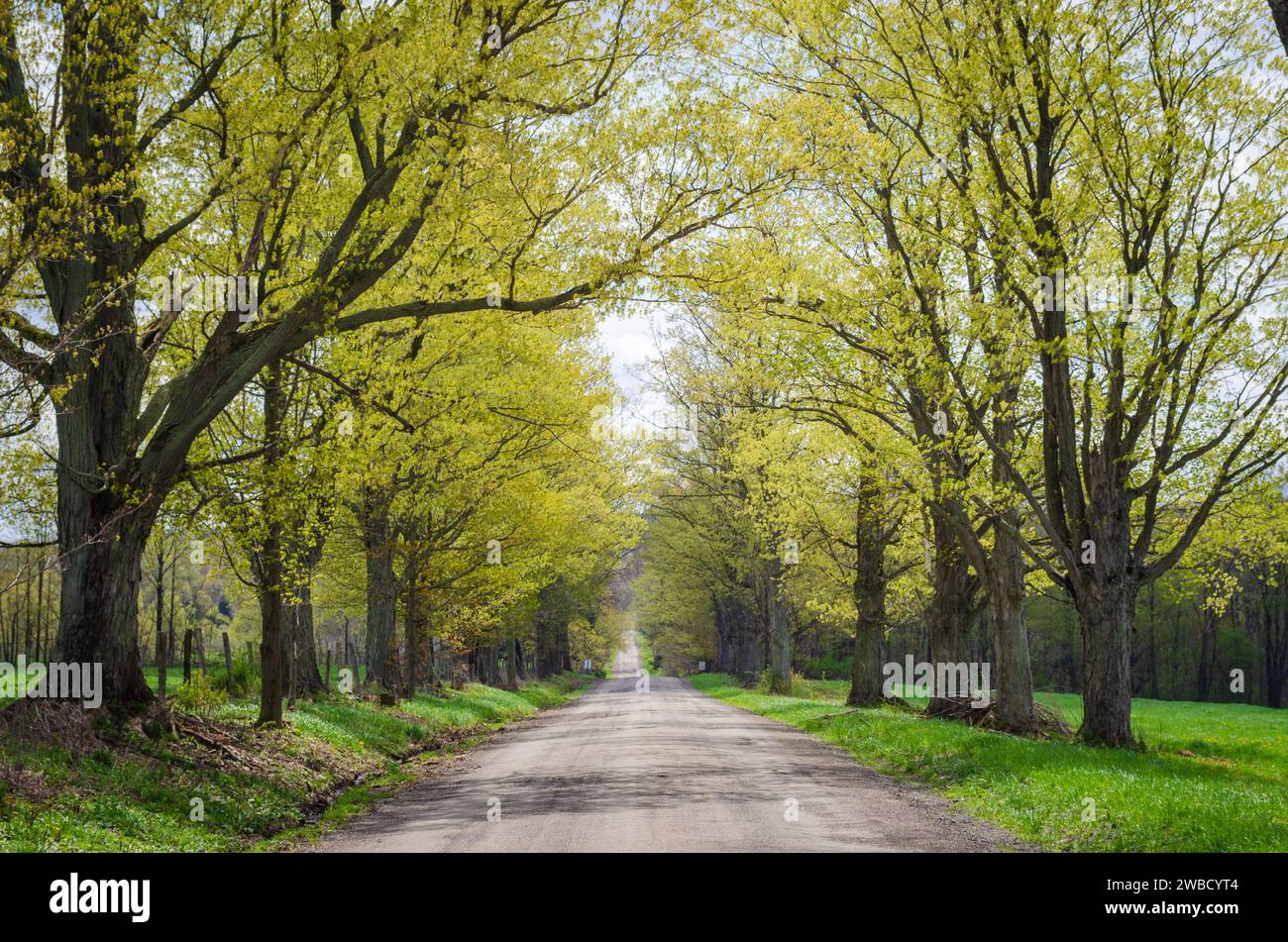 Rural Dirt Road in Sugar Grove, Pennsylvania, USA Stock Photo Alamy