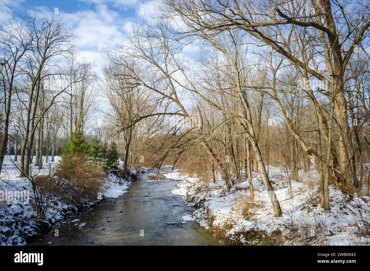Conewango Creek in Sugar Grove, Pennsylvania, USA Stock Photo Alamy