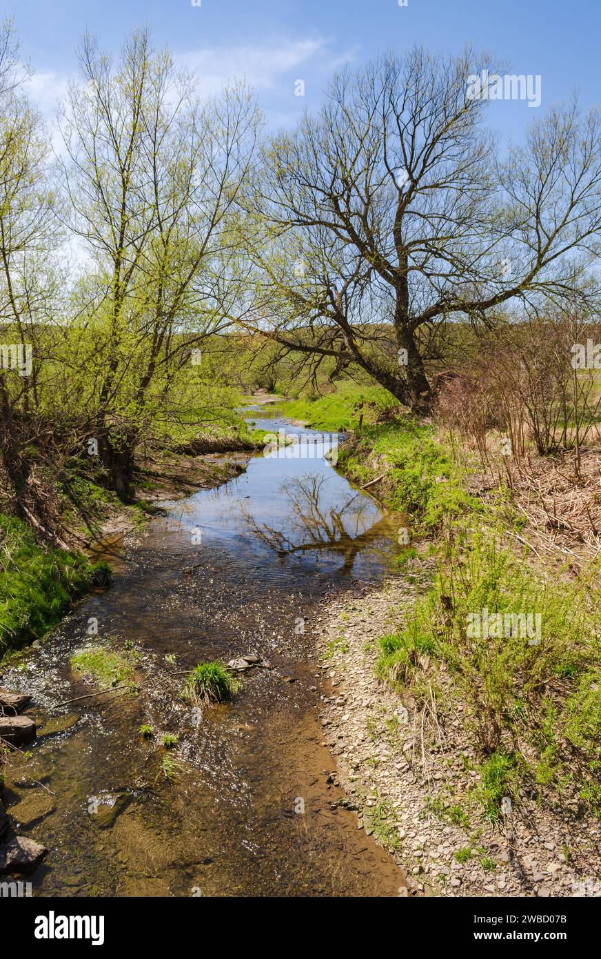Conewango Creek in Sugar Grove, Pennsylvania, USA Stock Photo Alamy