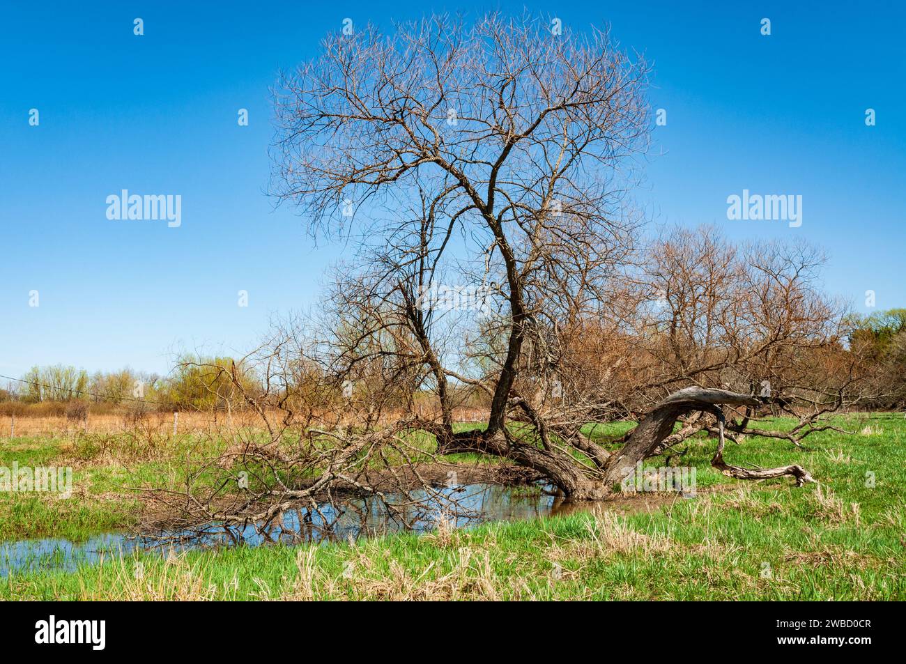 Conewango Creek in Sugar Grove, Pennsylvania, USA Stock Photo Alamy