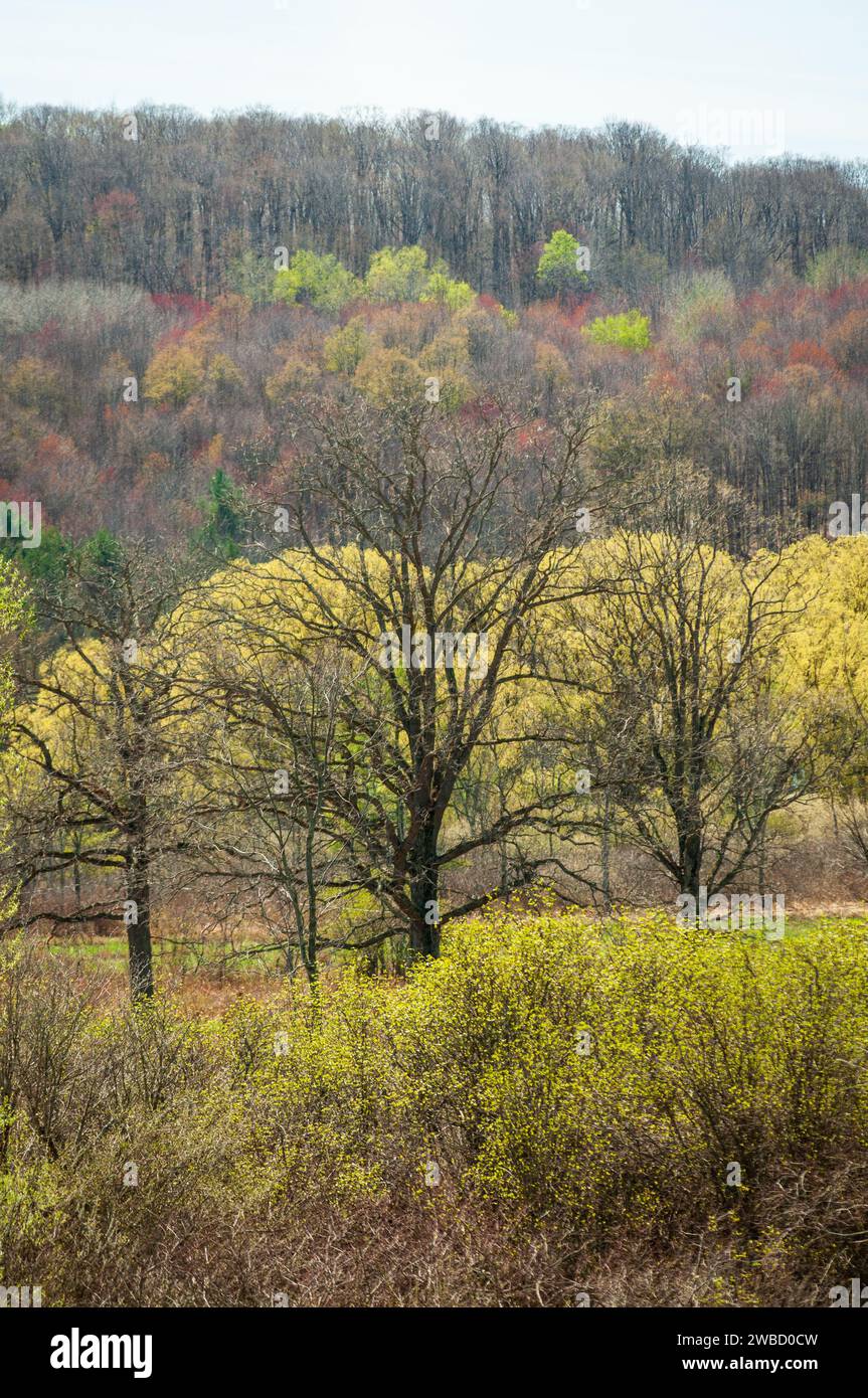 Forest Overlook at Sugar Grove, Pennsylvania, USA Stock Photo Alamy