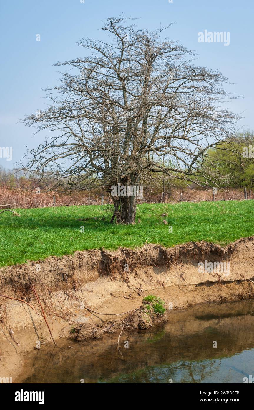 Conewango Creek in Sugar Grove, Pennsylvania, USA Stock Photo Alamy