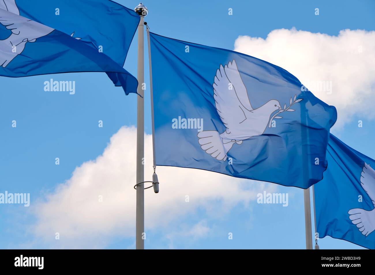 Three blue peace flags in a row printed with a dove with an olive branch in its beak. The dove with the branche is the international symbol of peace. Stock Photo