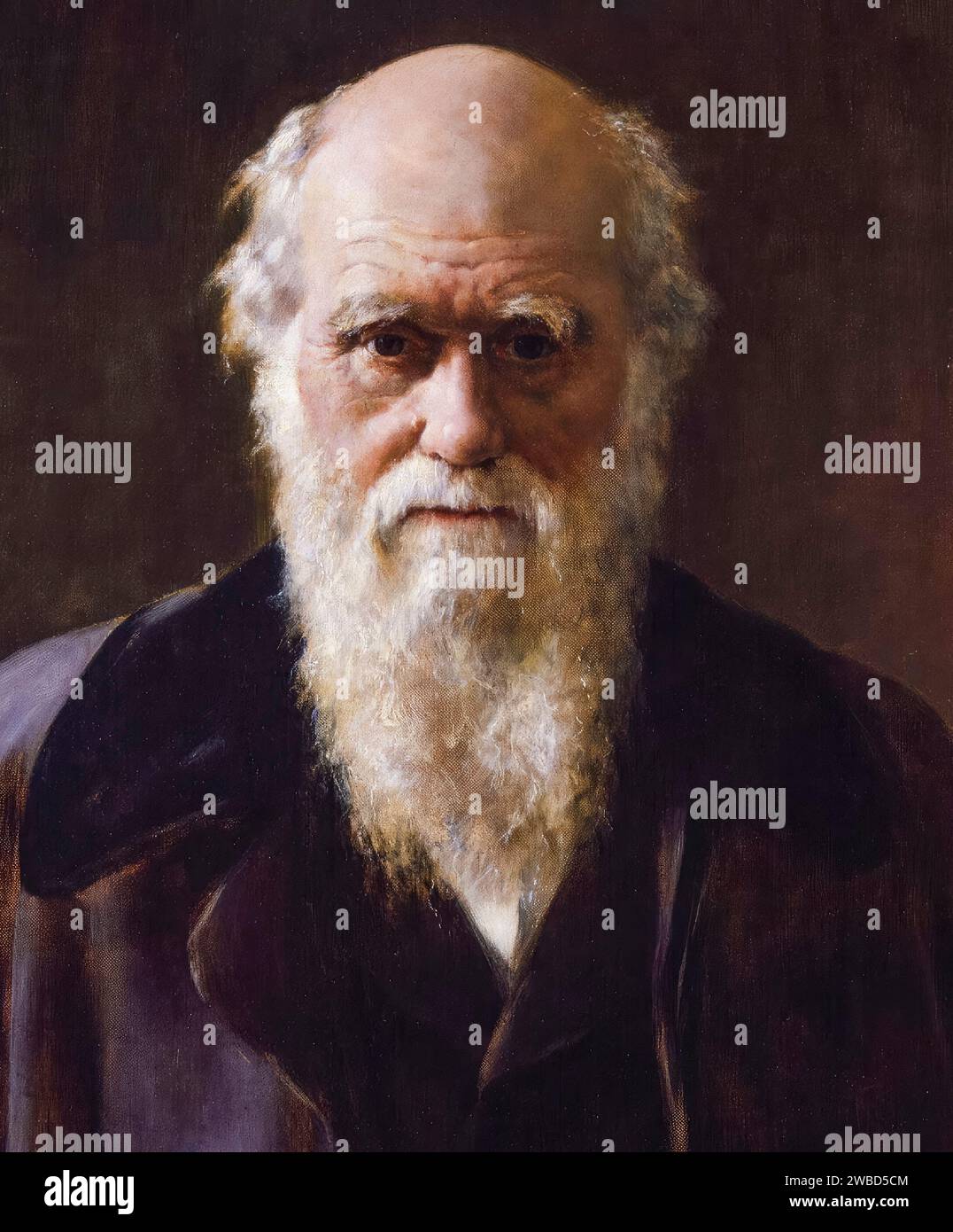 Charles Darwin, Portrait, of, Charles Robert Darwin, (1809-1882), English naturalist, geologist, and biologist, portrait painting in oil on canvas by John Collier, 1883 Stock Photo