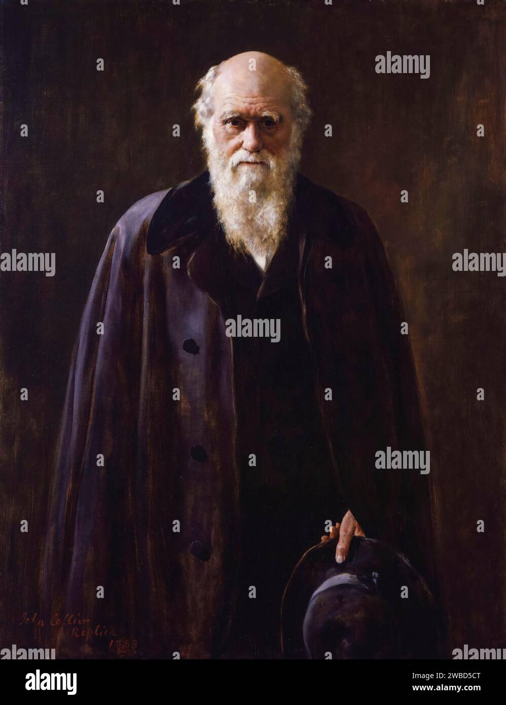 Charles Darwin. Portrait of Charles Robert Darwin (1809-1882), English naturalist, geologist, and biologist, portrait painting in oil on canvas by John Collier, 1883 Stock Photo