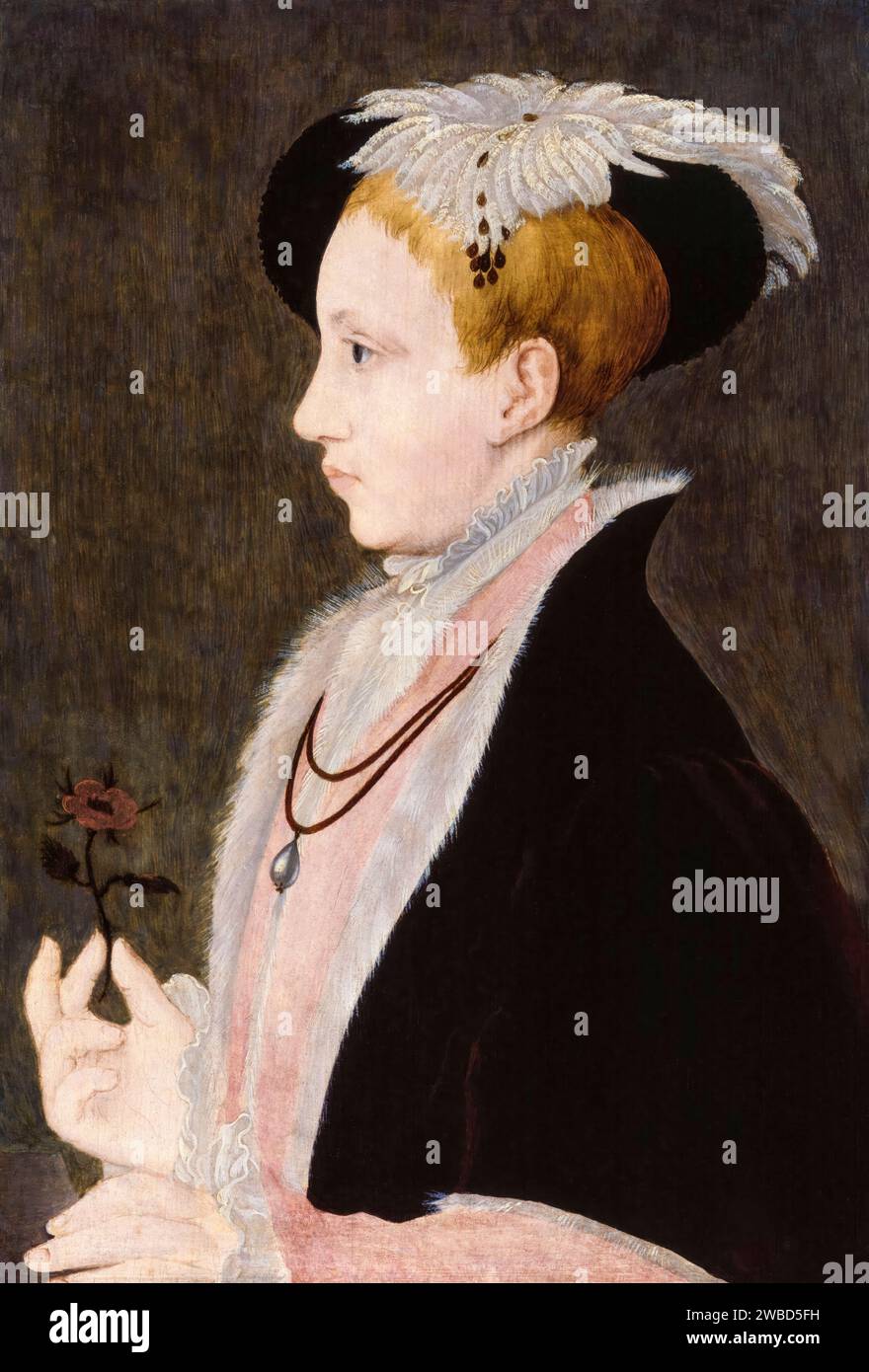 Edward VI (1537-1553), King of England and Ireland (1547-1553), portrait painting in oil on panel after William Scrots, circa 1546 Stock Photo