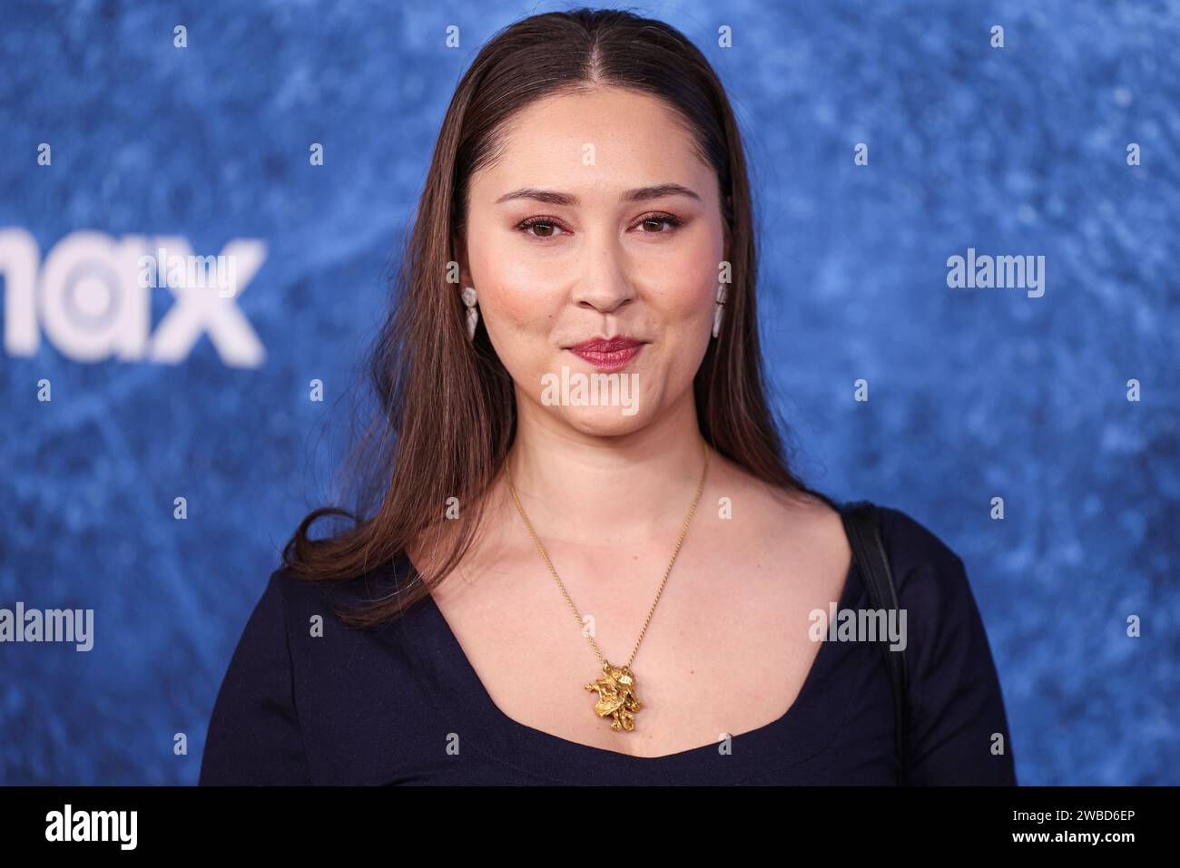 Hollywood, United States. 09th Jan, 2024. HOLLYWOOD, LOS ANGELES
