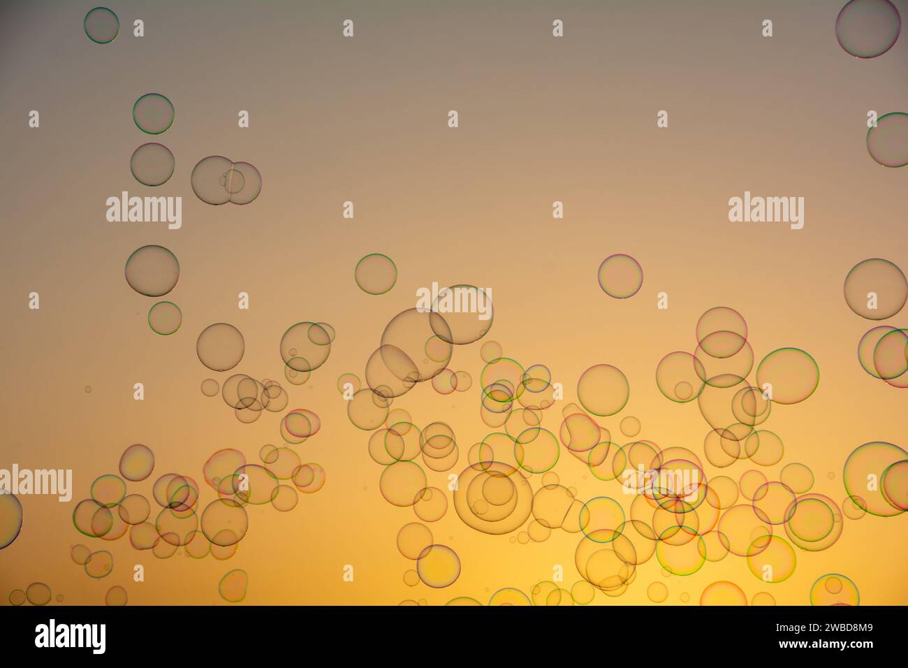Many colorful soap bubbles float in the orange sky at sunset Stock ...