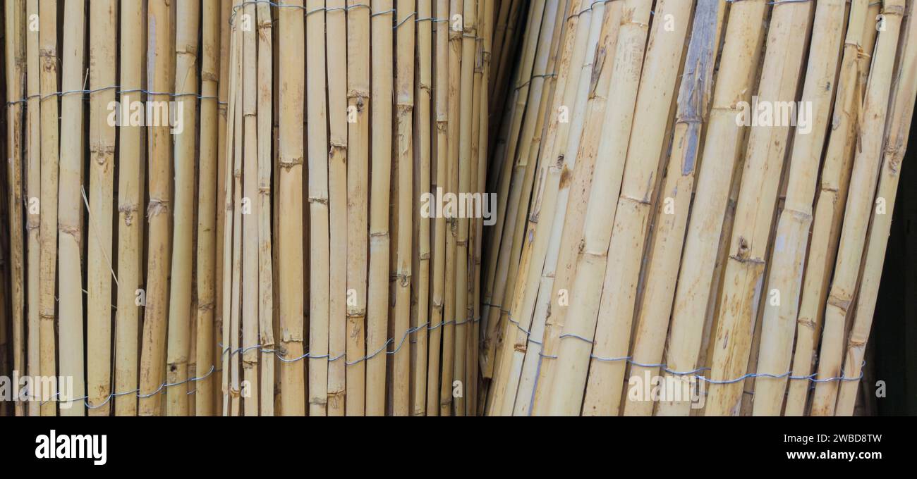 Garden fence rolls built with wattle. Selective focus Stock Photo