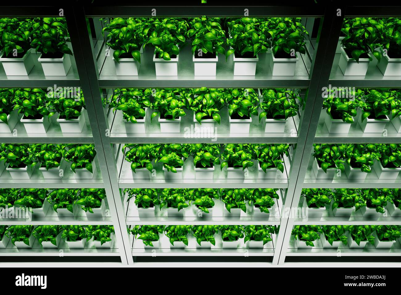 This image captures a state-of-the-art hydroponic farming facility with ...