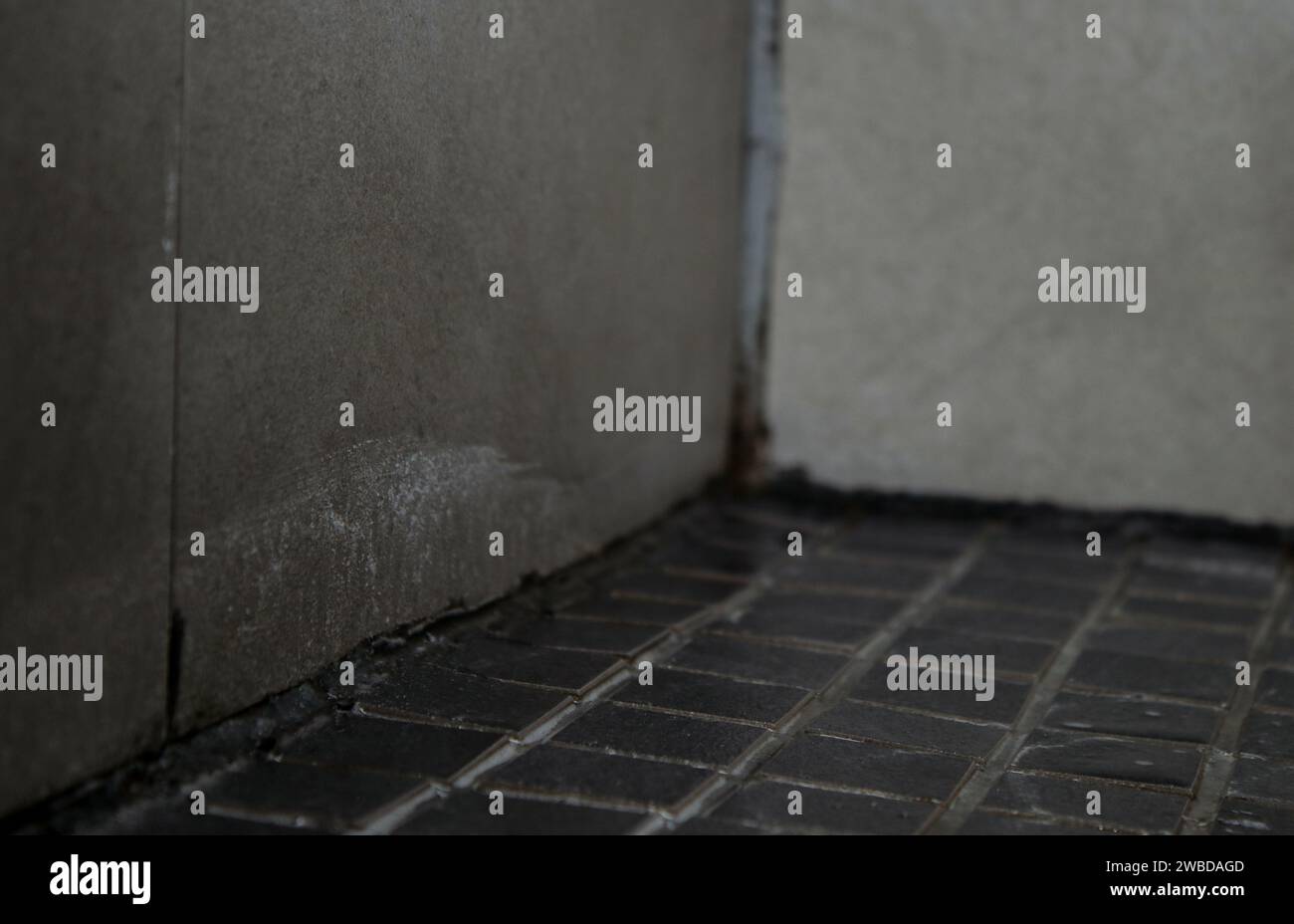 Grey dirty tiles with mold in a bathroom Stock Photo