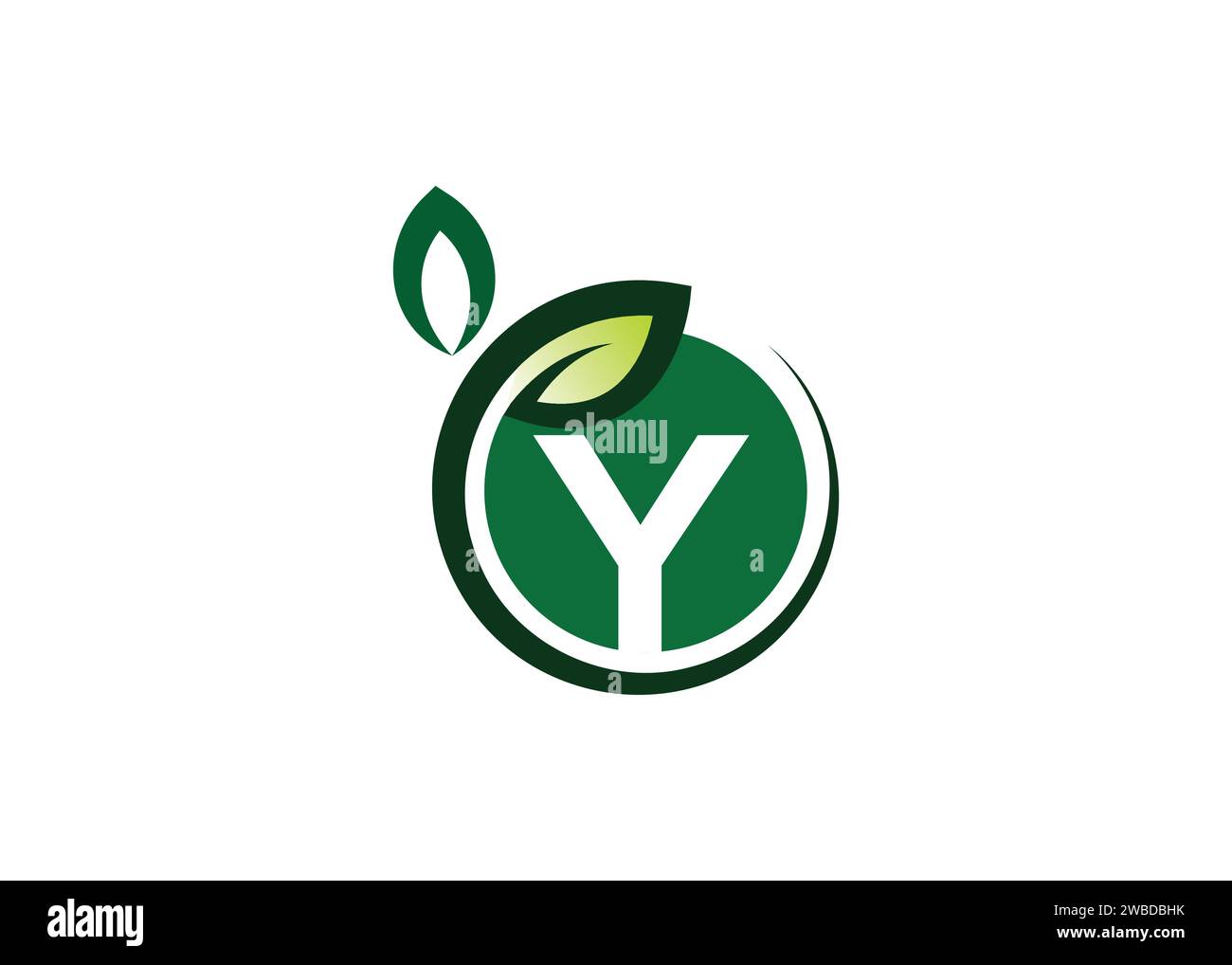 Letter Y Green leaf logo design vector template. Letter Y Nature Growth Leaf vector logo Stock Vector