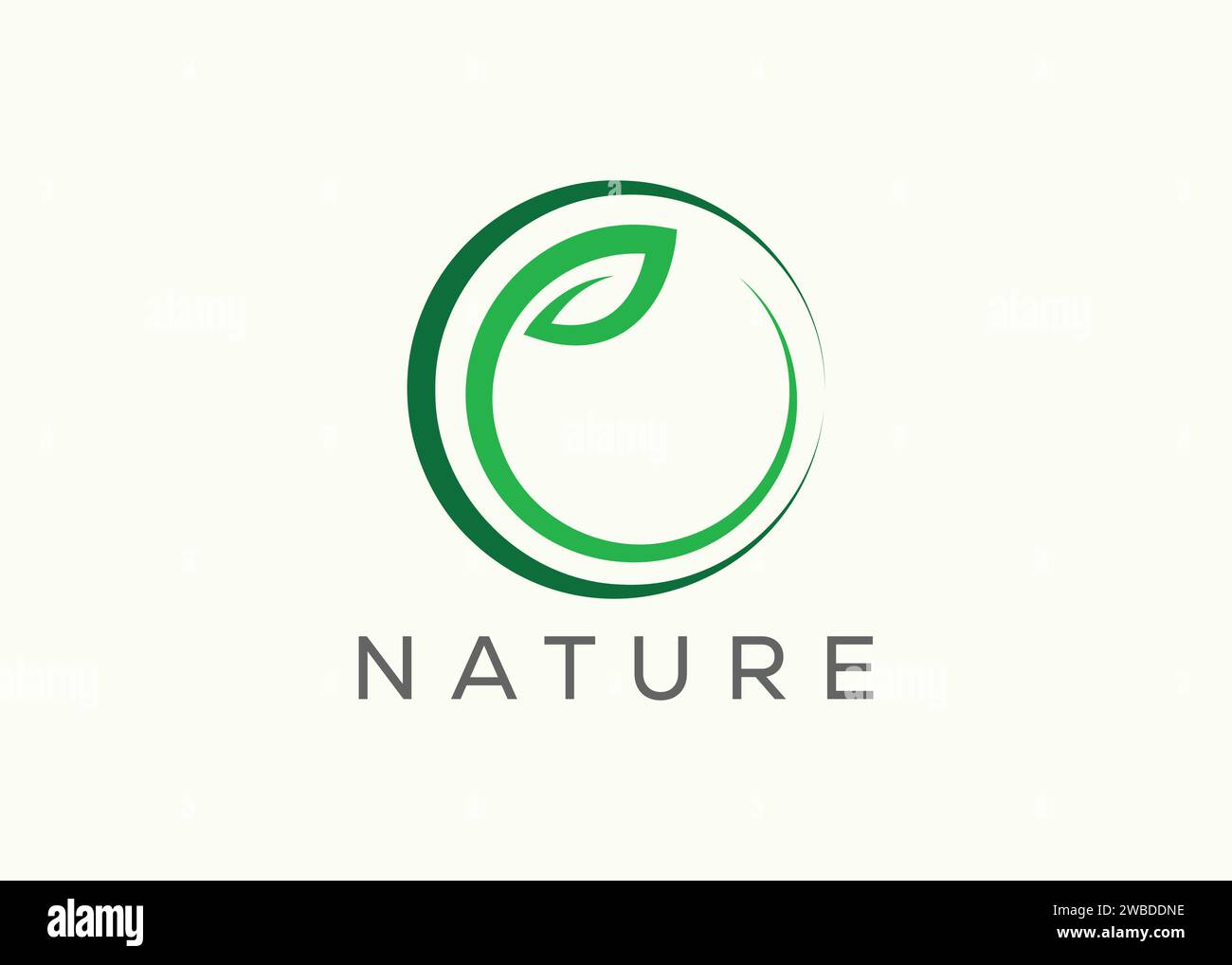 Green leaf logo design vector template. Nature Growth Leaf vector logo ...