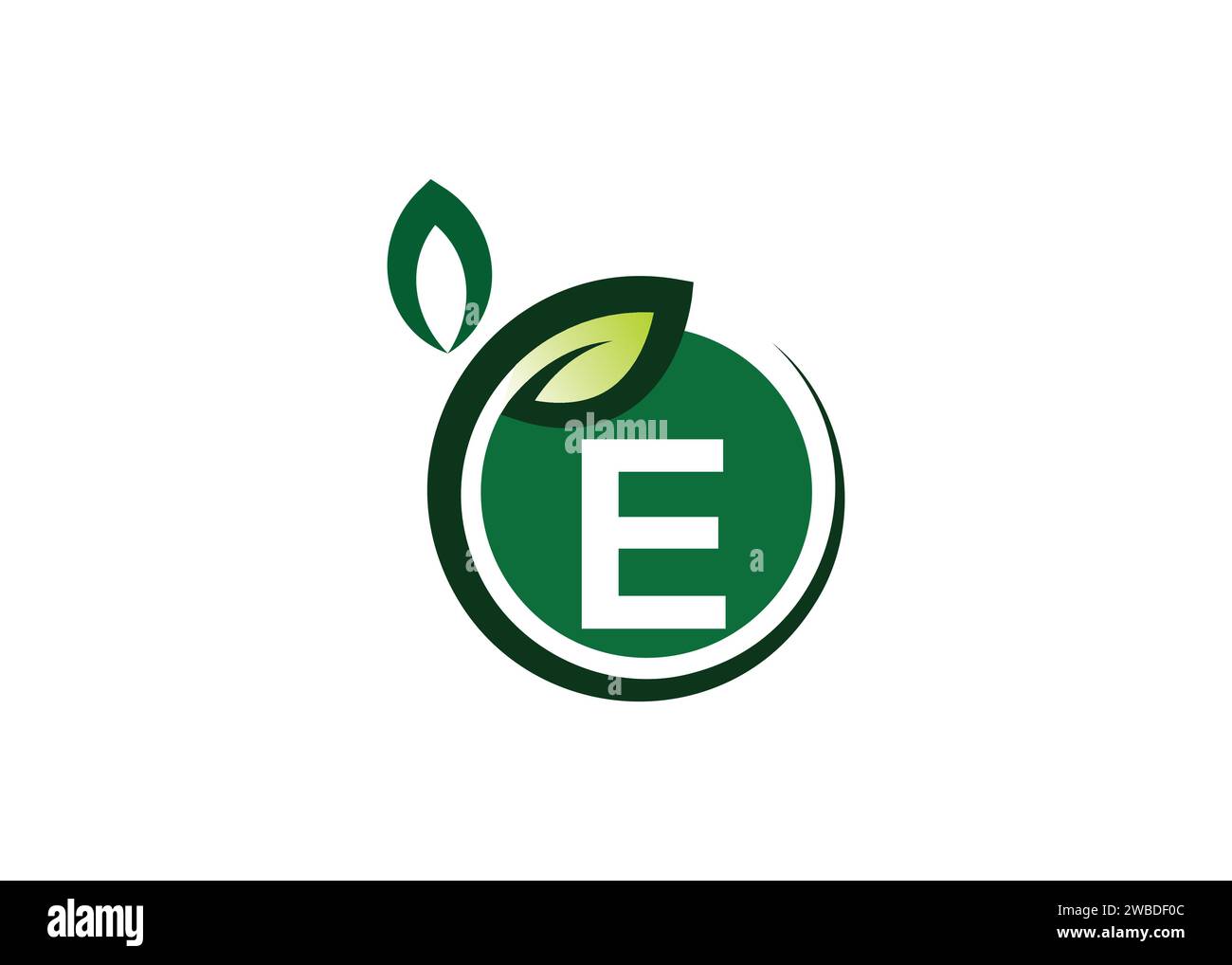 Letter E Green leaf logo design vector template. Letter E Nature Growth Leaf vector logo Stock Vector