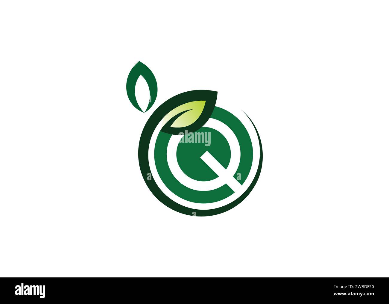 Letter Q Green leaf logo design vector template. Letter Q Nature Growth Leaf vector logo Stock Vector
