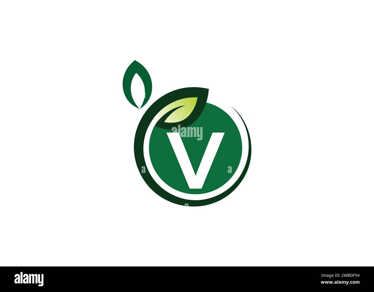 Letter V Green leaf logo design vector template. Letter V Nature Growth Leaf vector logo Stock Vector