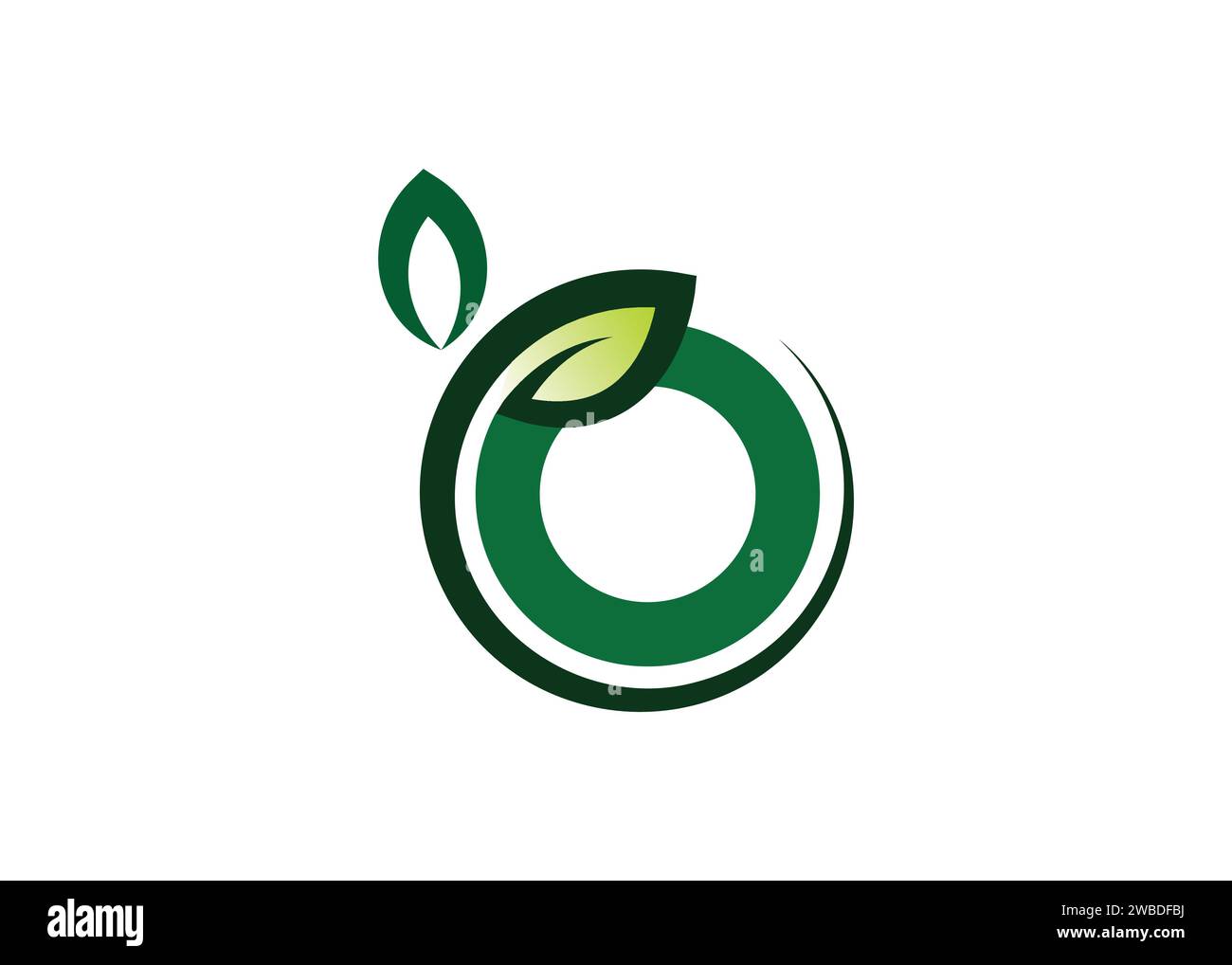 Letter O Green leaf logo design vector template. Letter O Nature Growth Leaf vector logo Stock Vector