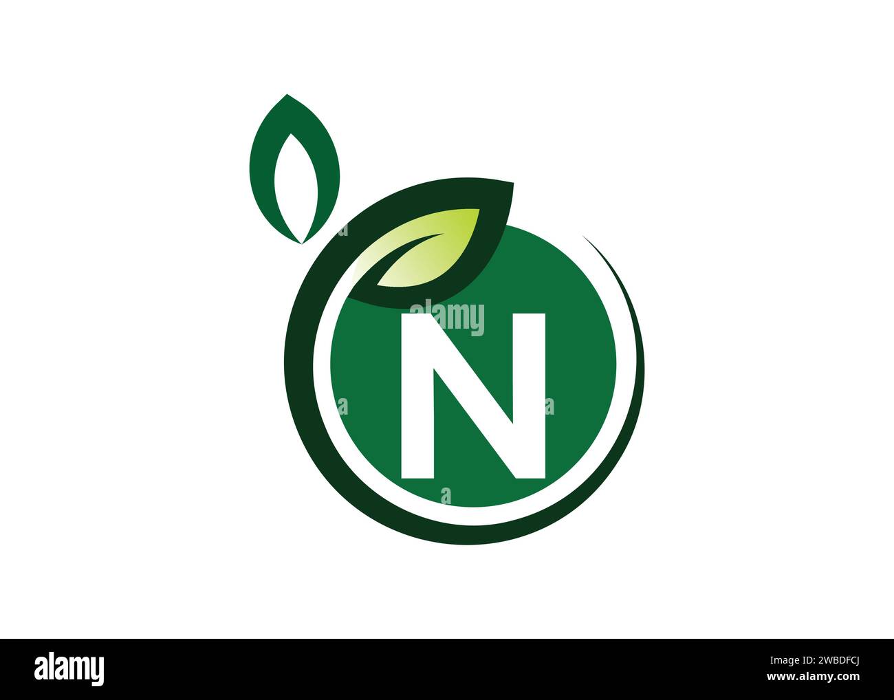 Letter N Green leaf logo design vector template. Letter N Nature Growth Leaf vector logo Stock Vector