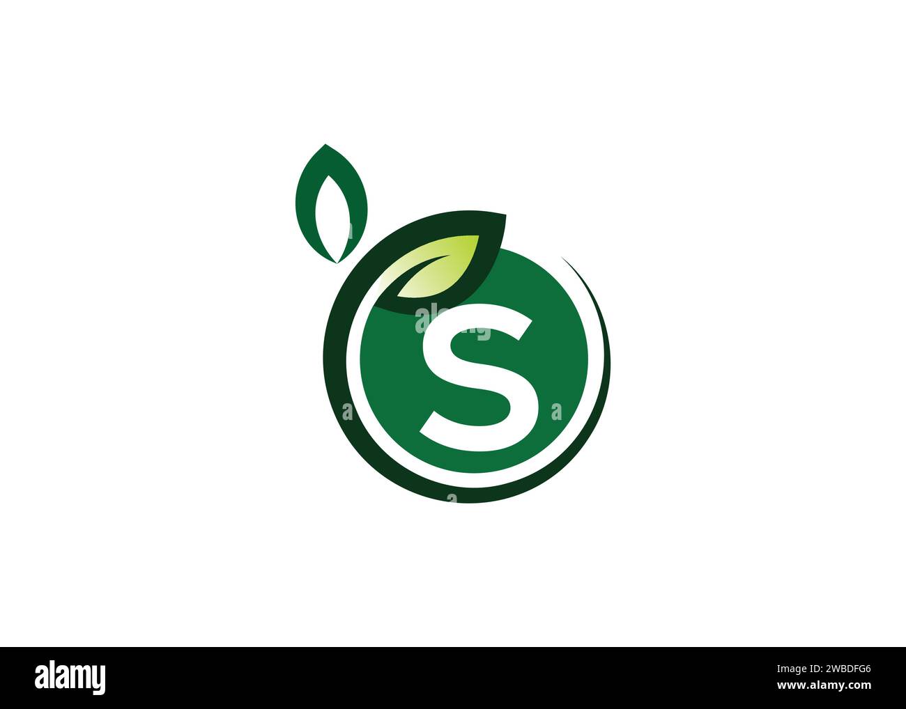 Letter S Green leaf logo design vector template. Letter S Nature Growth Leaf vector logo Stock Vector