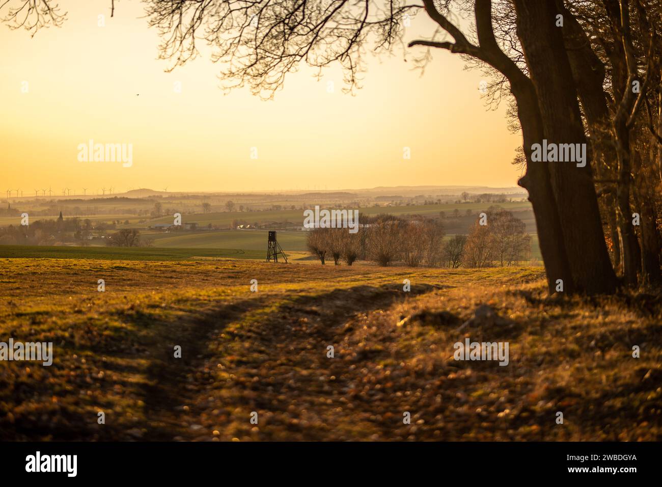 Landschaft am Waldrand im Herbst und Winter Stock Photo