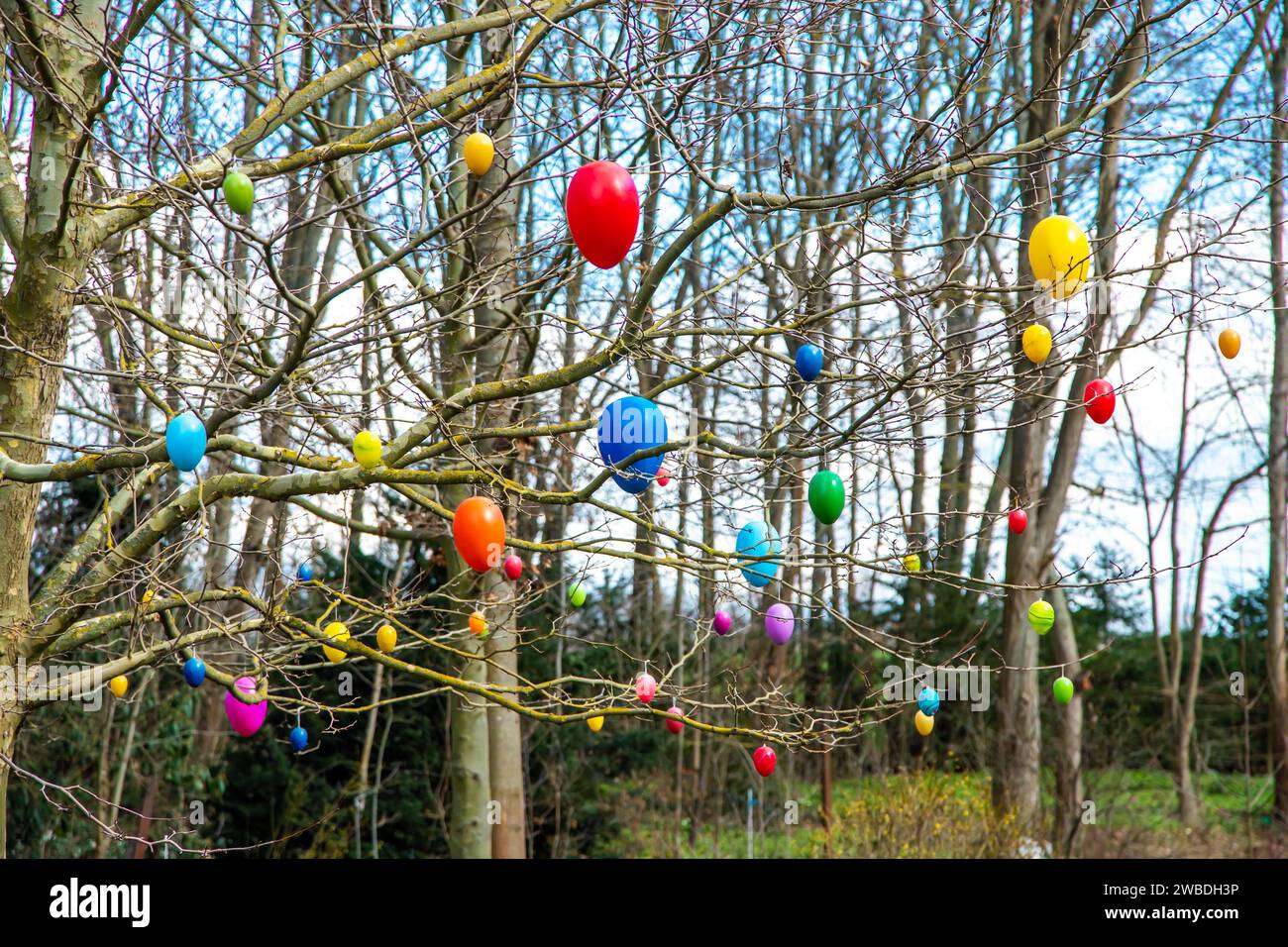 Ostereier hängen an einem Busch im Frühling im Garten Stock Photo