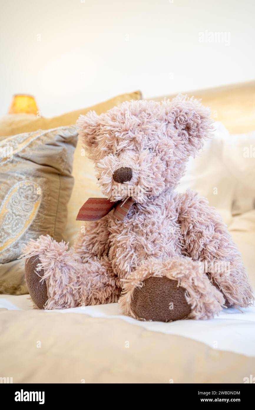 A cute brown teddy bear sitting on a cosy bed Stock Photo - Alamy