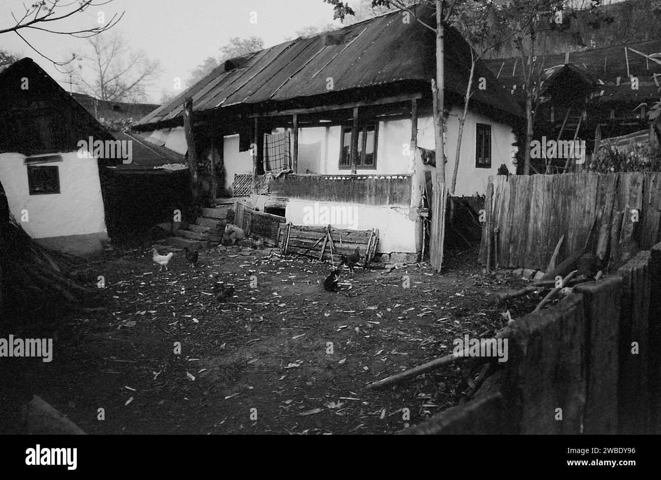 Vrancea County, Romania, approx. 1992. A traditional rural homestead with an enclosed yard. Stock Photo