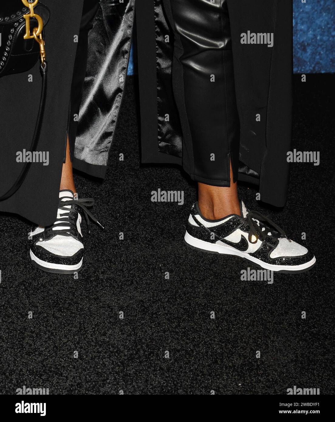 Los Angeles, California, USA. 09th Jan, 2024. Leslie Jones attends the Los Angeles premiere of