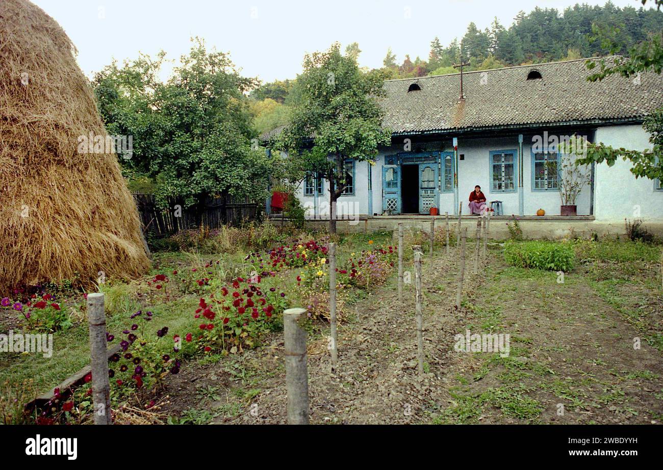 Homestead in Negrileşti, Vrancea County, Romania, approx. 1995 Stock Photo