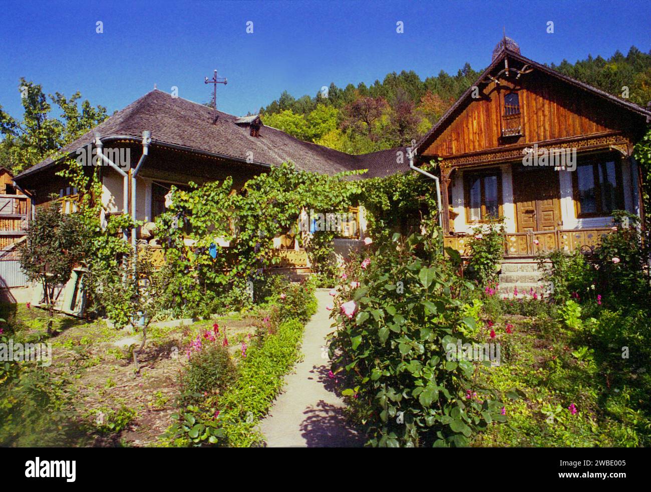 Homestead with two traditional houses in Negrileşti, Vrancea County, Romania, approx. 2001 Stock Photo