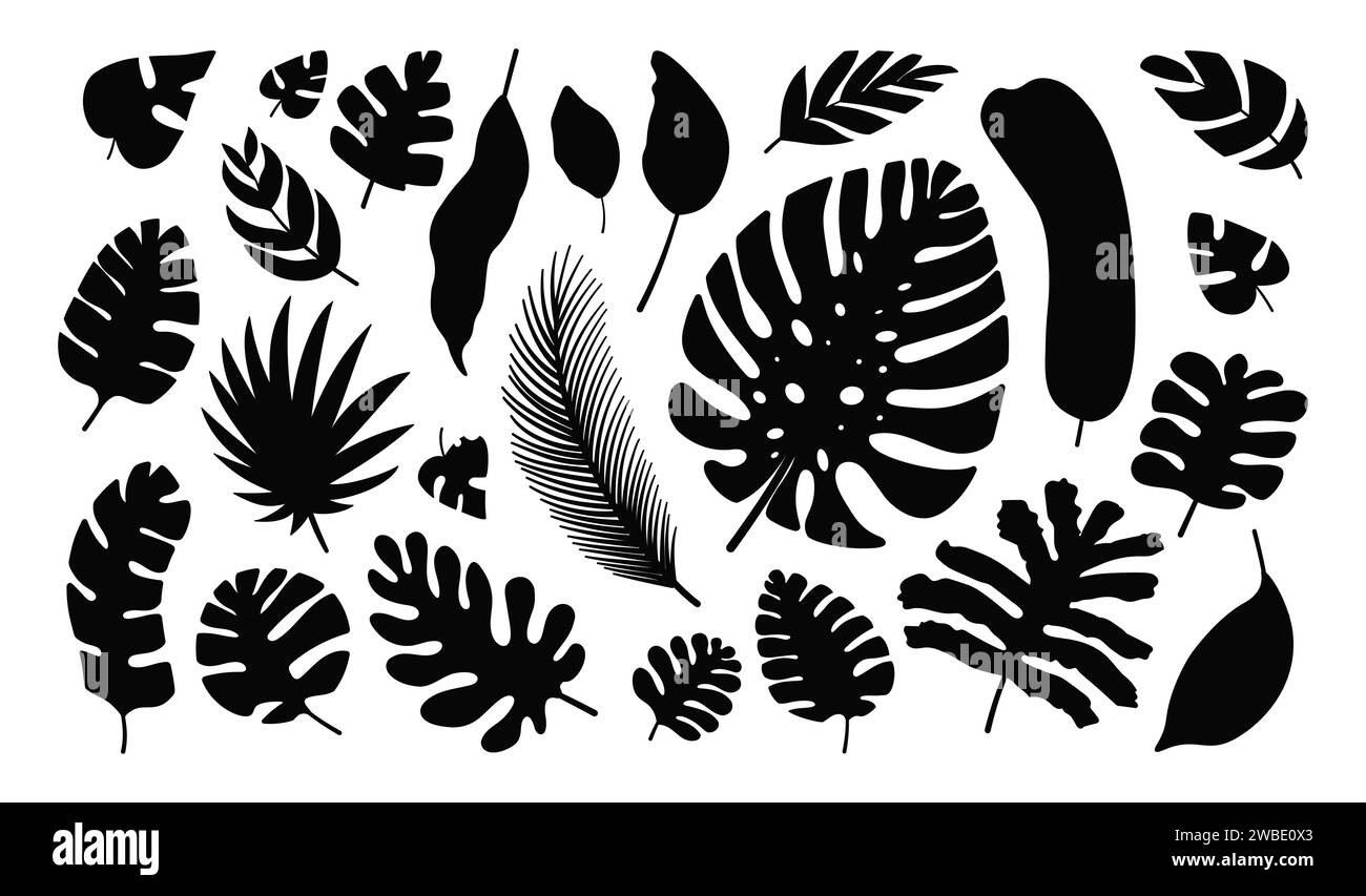 Tropical leaves black silhouettes set vector illustration Stock Vector ...
