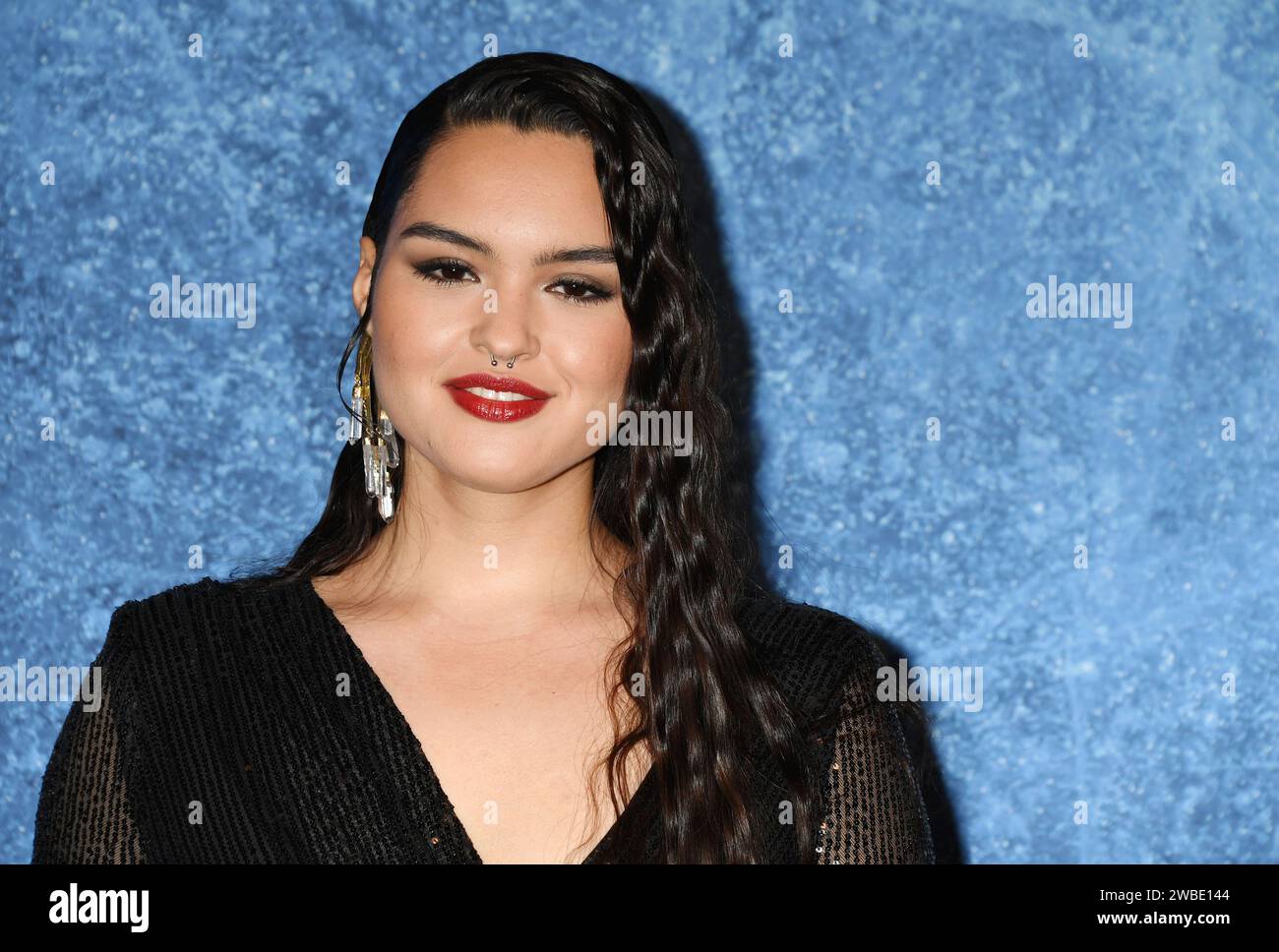 LOS ANGELES, CALIFORNIA - JANUARY 09: Anna Lambe attends the Los