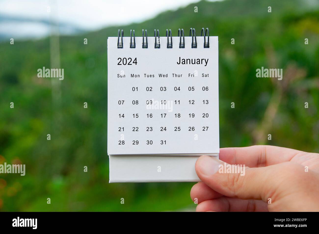 Hand holding January 2024 white calendar with nature background ...