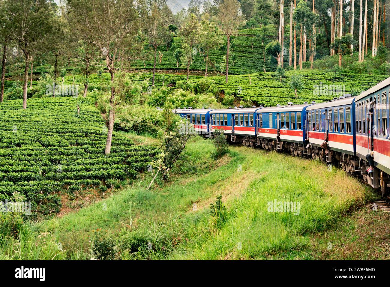 Train and tea plantation in Sri Lanka. Nuwara Eliya, Ella or Kandy. Country rail travel and tourism. Green forest and beautiful landscape. Stock Photo