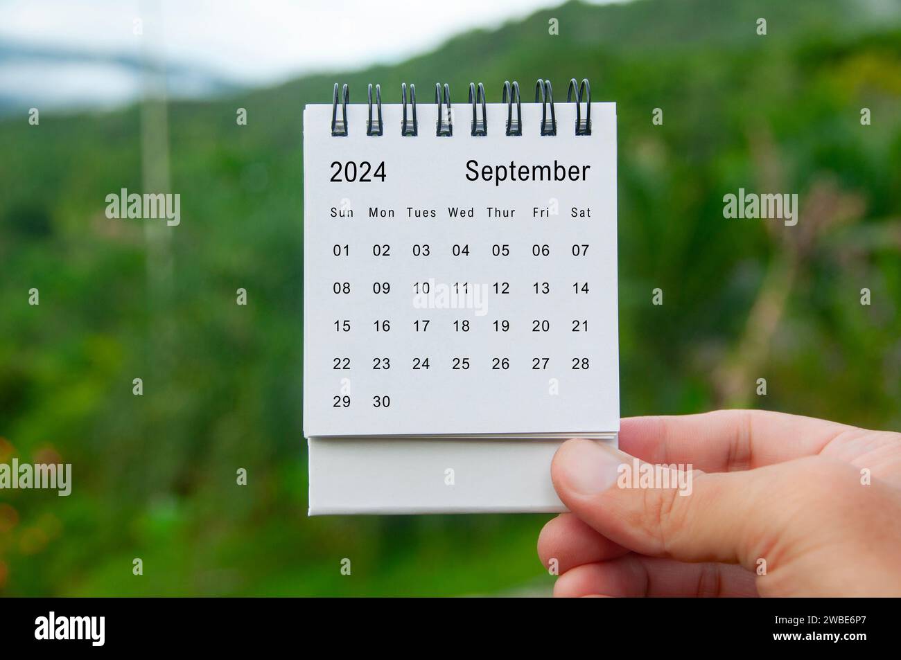 Hand holding September 2024 white calendar with nature background. Holiday and calendar concept. Stock Photo