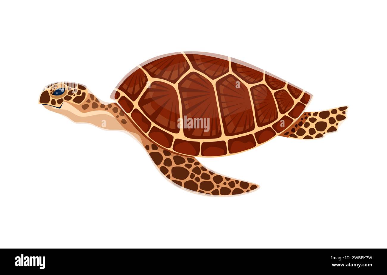 Cartoon sea turtle animal character. Isolated vector majestic creature