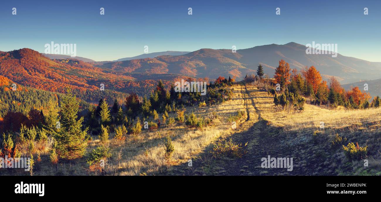 The mountain autumn landscape with colorful forest Stock Photo - Alamy