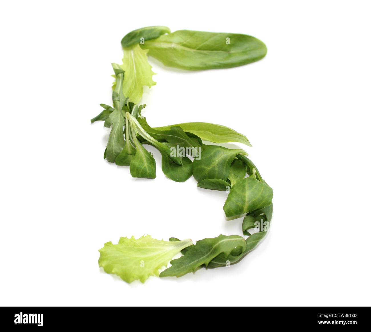 number 5, five from green chili pepper, salad for encyclopedias, cook