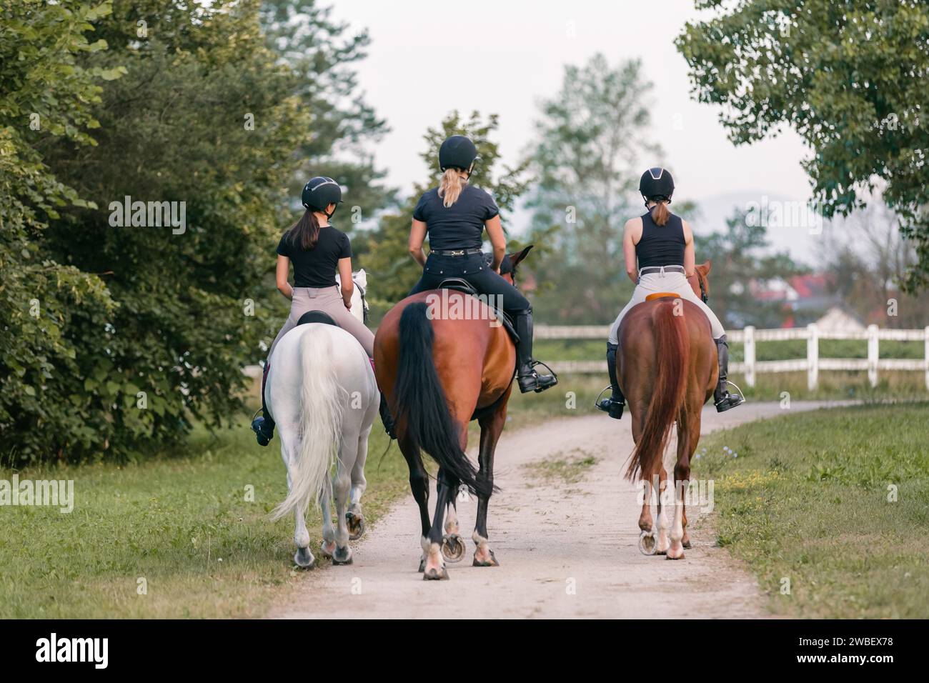 Rear view of three female riders riding horses side by side near white