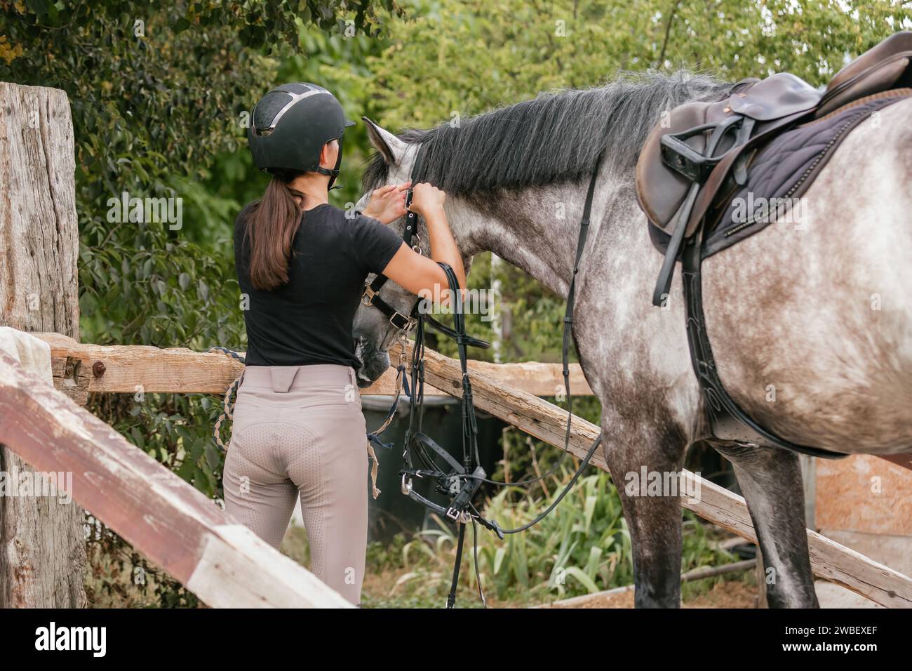 Female rider in equestrian clothes holding the reins and leading her