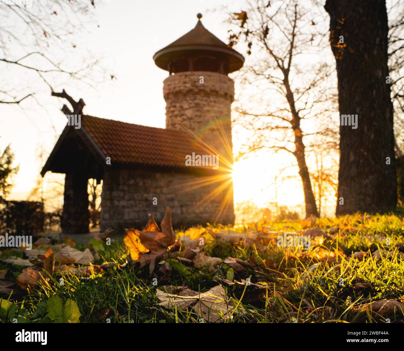 Golden sunlight floods over falling leaves with a view of an old tower, Hachelturm, Pforzheim, Germany Stock Photo