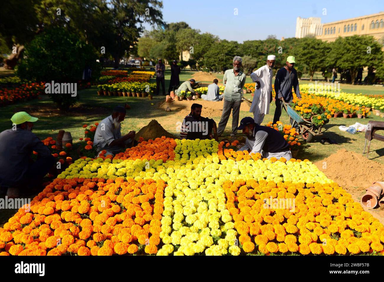 Gardeners takes care and arranging seasonal flowers and plants for the