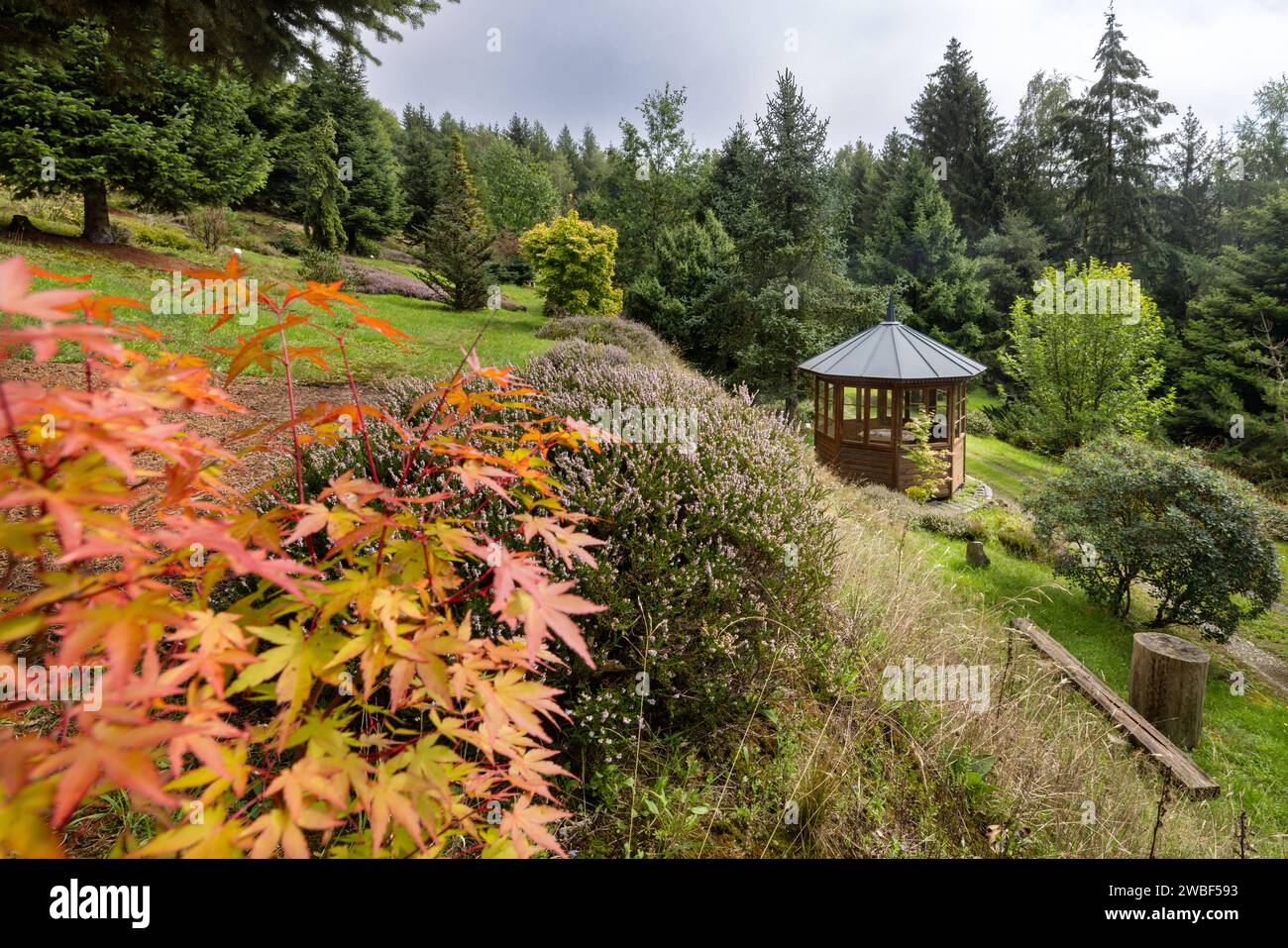 Forstbotanischer Garten Wasungen In dem Forstbotanischer Garten Wasungen sind vor allem Spezies aus dem europäischen, nordamerikanischen und ostasiatischen Florenreich angepflanzt. Auf einer Fläche von ca. 5 ha wachsen 162 Gehölzgattungen mit 1700 verschiedenen Arten und Formen. In einem langfristigen Programm werden hier wildwachsende Baum- und Straucharten sowie Subspezies und Cultivare besonders aus den gemäßigten Klimazonen gepflanzt und gepflegt. Die Einteilung der Anlage erfolgte nach pflanzengeografischen und pflanzensystematischen Bereichen. Wasungen Thüringen DEUTSCHLAND *** Wasungen Stock Photo