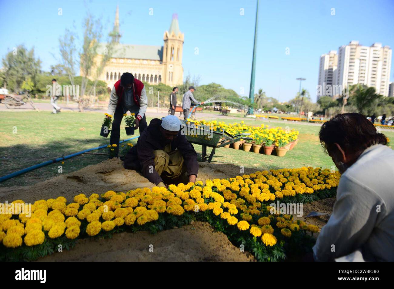 Gardeners takes care and arranging seasonal flowers and plants for the