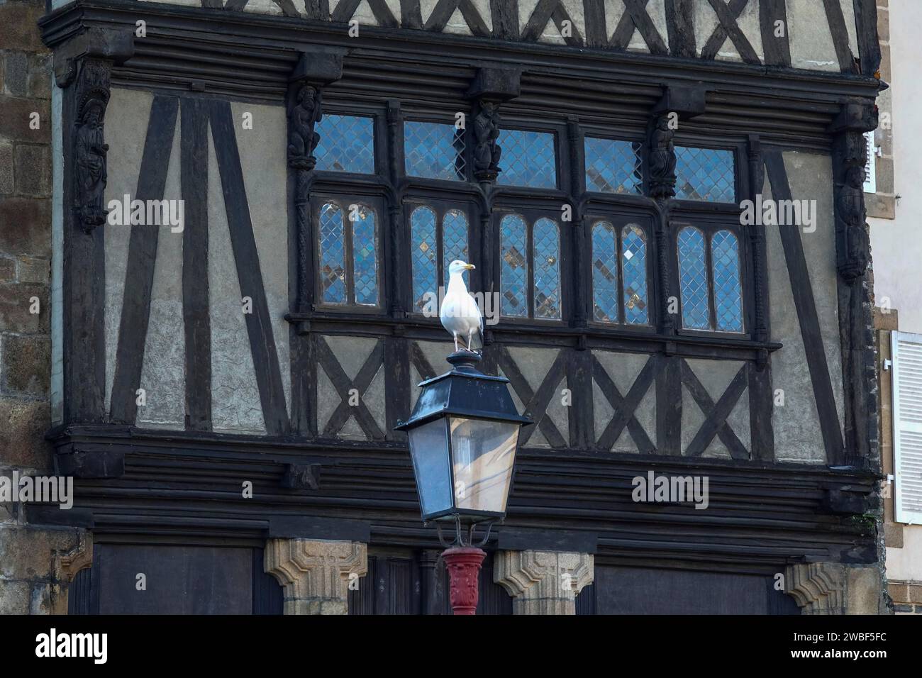 Half-timbered house Maison a Lanterne Maison de la Reine Anne on Place Alende, seagull on street lamp, Morlaix Montroulez, department Finistere Penn Stock Photo