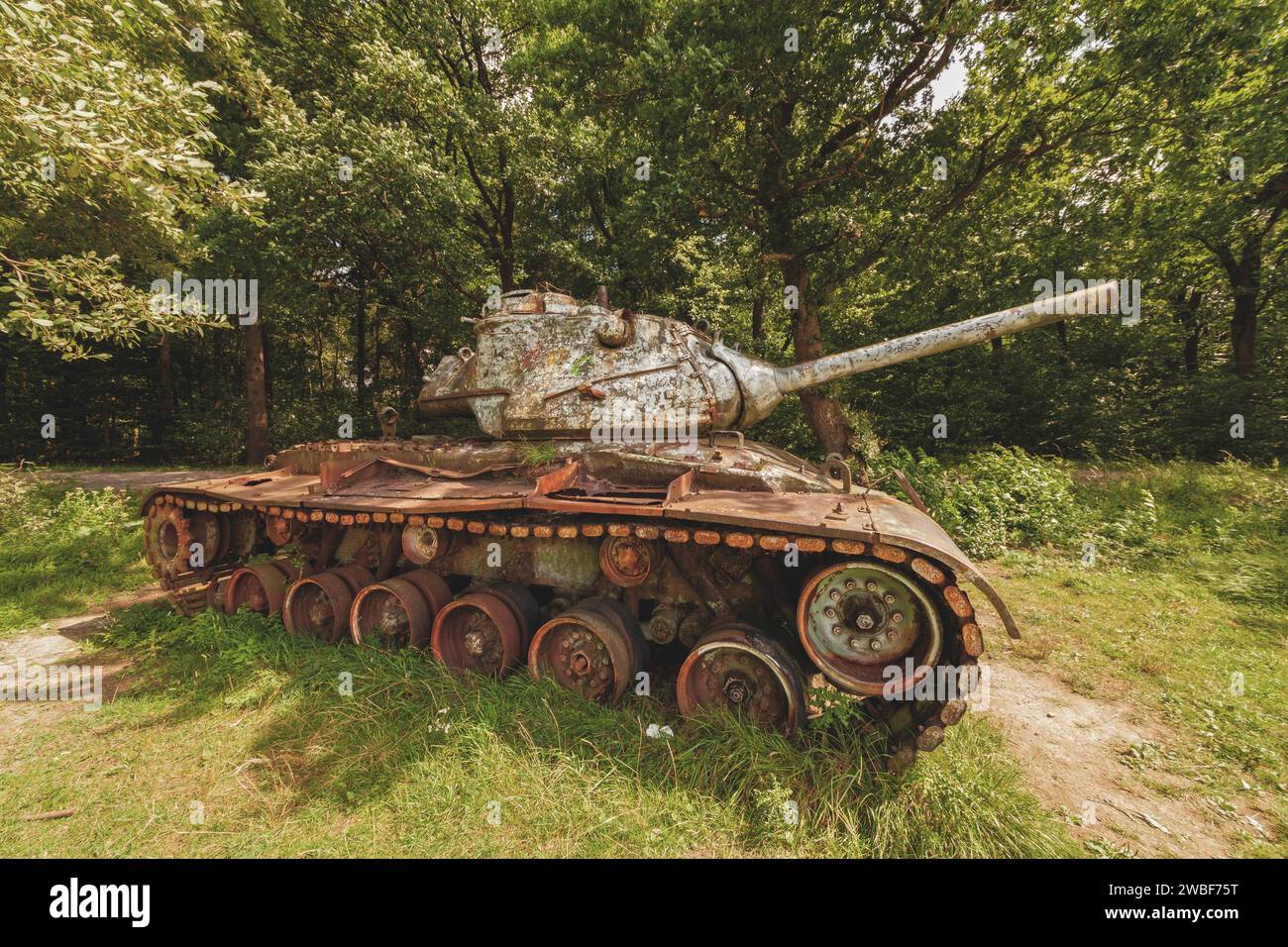 An old, rusty tank surrounded by green vegetation in the forest, M47 Patton, Lost Place, Brander Wald, Aachen, North Rhine-Westphalia, Germany Stock Photo