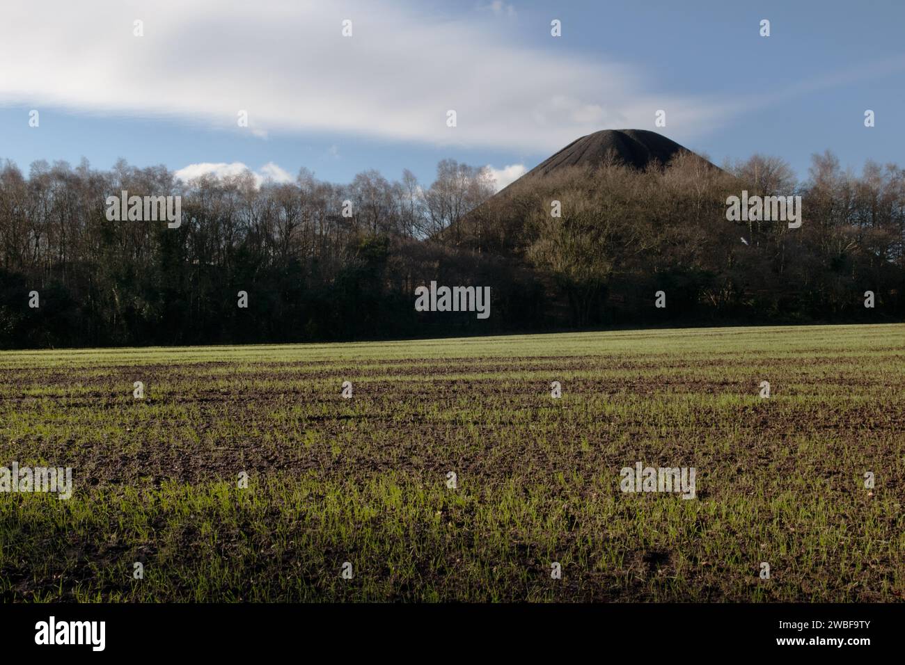 Spoil Heap, Paulton, Somerset, England Stock Photo Alamy